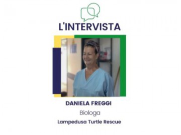 Intervista a Daniela Freggi