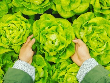 Crescono i giovani agricoltori