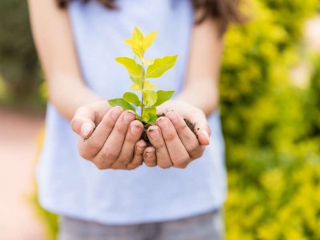 Scuole Green: in Italia e in Europa la sostenibilità arriva in classe